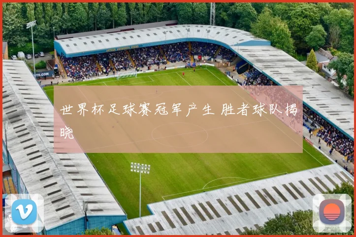 世界杯足球赛冠军产生 胜者球队揭晓