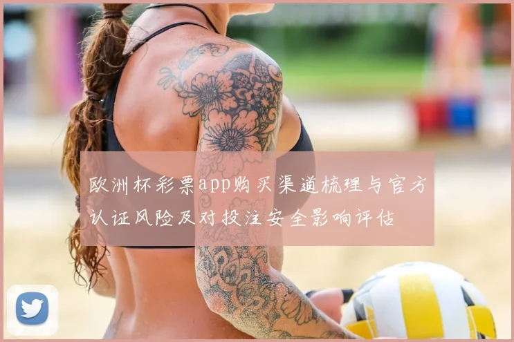欧洲杯彩票app购买渠道梳理与官方认证风险及对投注安全影响评估