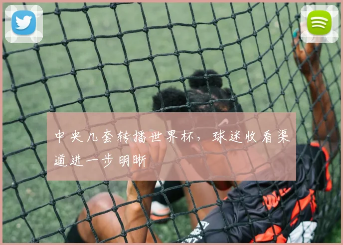 中央几套转播世界杯，球迷收看渠道进一步明晰