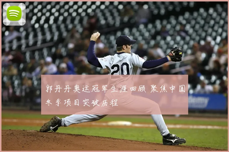 郭丹丹奥运冠军生涯回顾 聚焦中国冬季项目突破历程