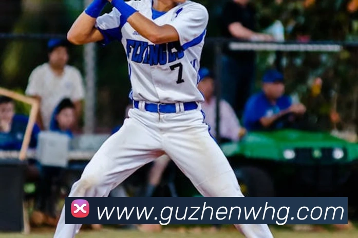 开云在线官网登录入口发展历程